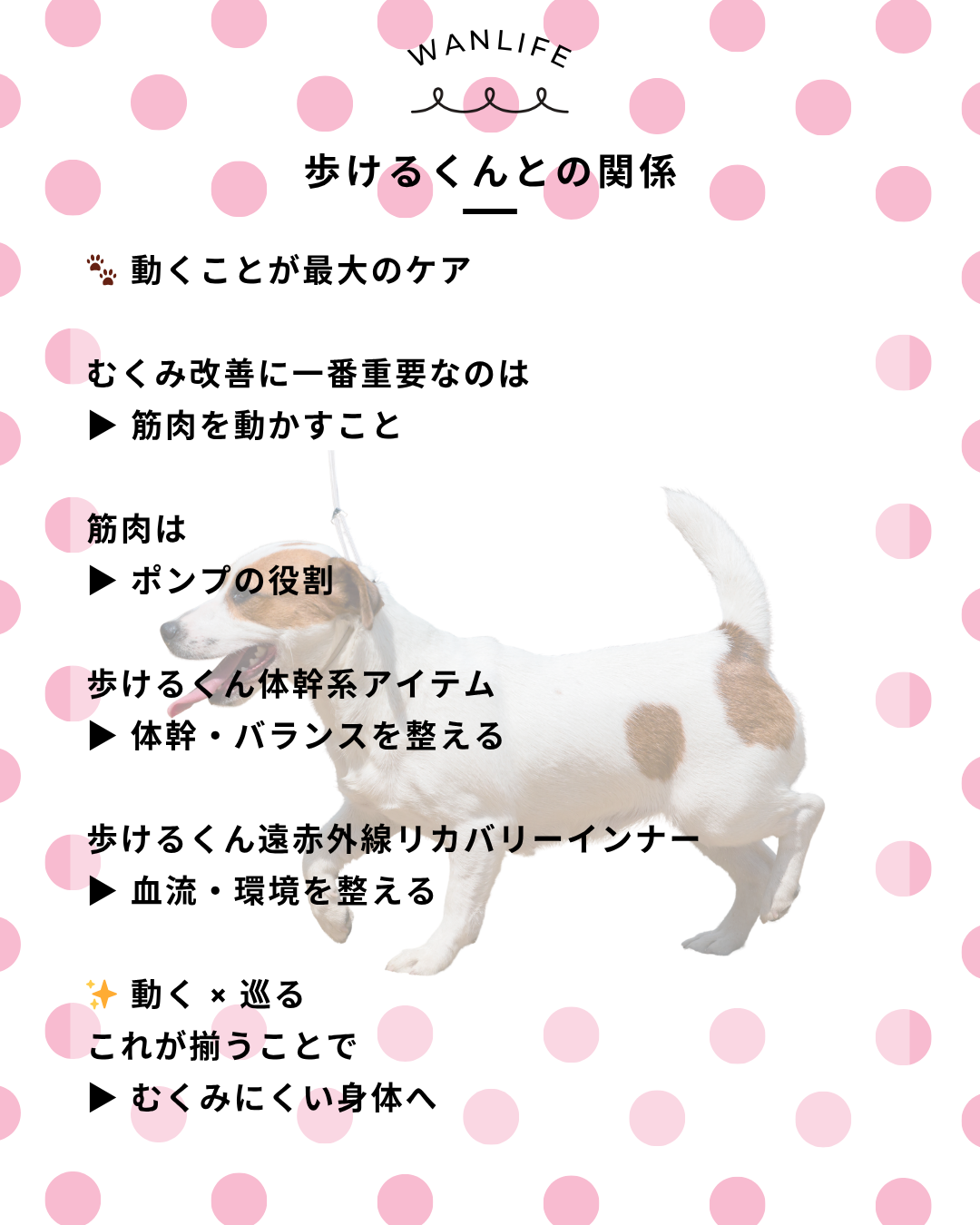 わんわん整体WanLife｜愛知・岐阜の犬の整体・メディセル筋膜リリース・オベロンアニマルスキャン・歩けるくん・ネオヒーラー・温灸・食事療法｜