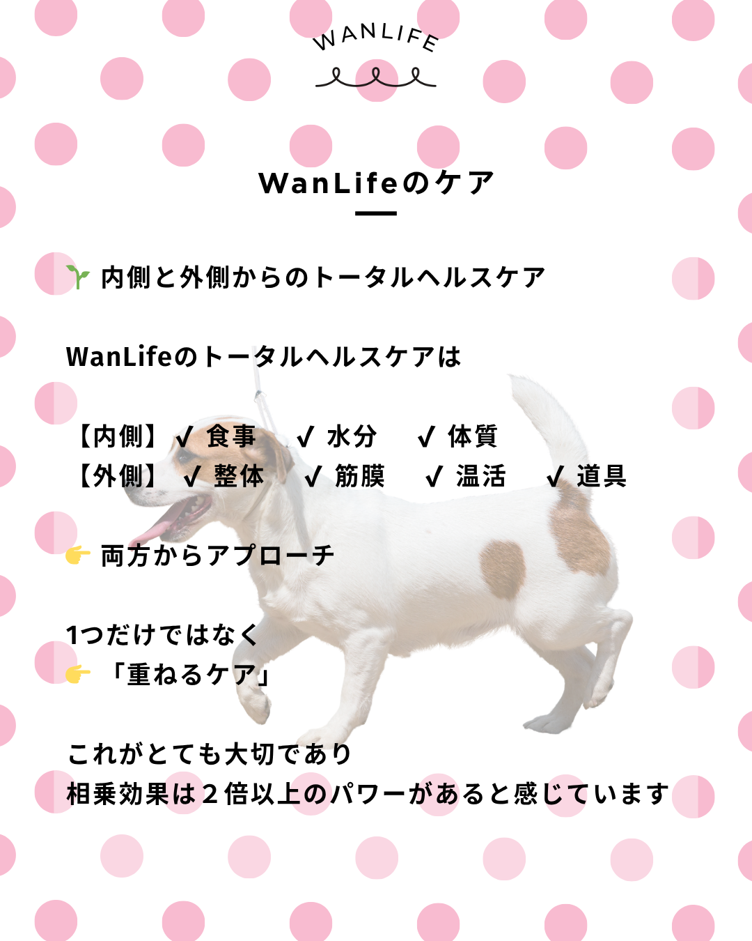 わんわん整体WanLife｜愛知・岐阜の犬の整体・メディセル筋膜リリース・オベロンアニマルスキャン・歩けるくん・ネオヒーラー・温灸・食事療法｜