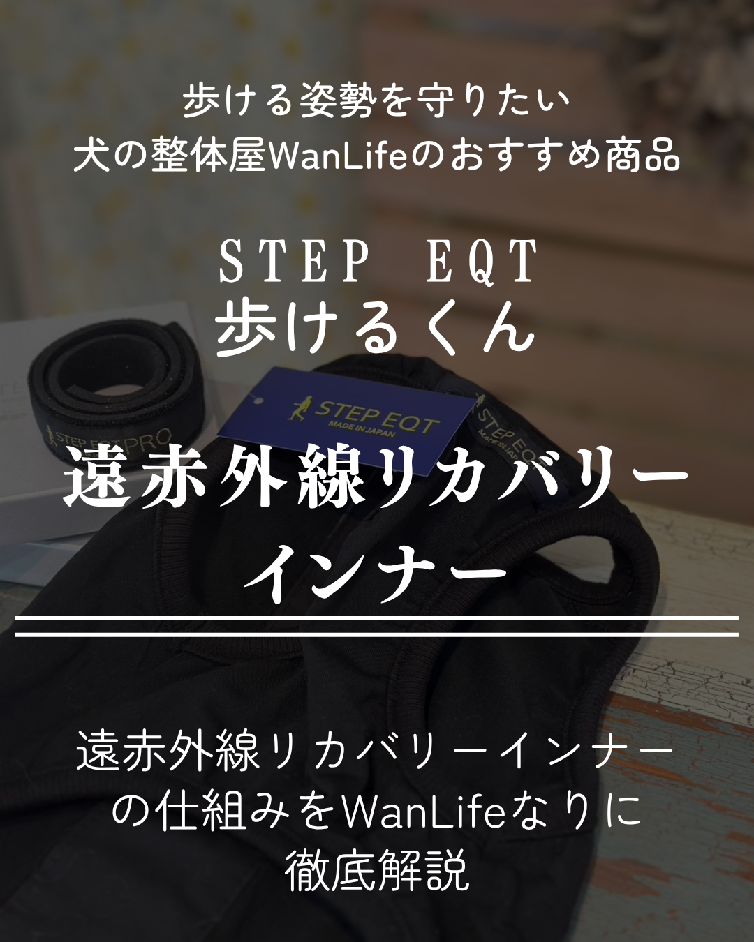 わんわん整体WanLife｜愛知・岐阜の犬の整体・メディセル筋膜リリース・オベロンアニマルスキャン・歩けるくん・ネオヒーラー・温灸・食事療法｜