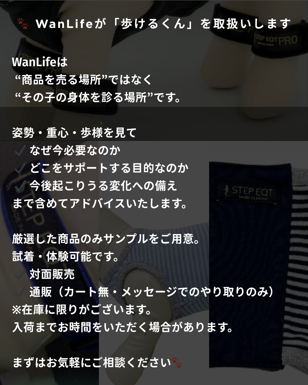 わんわん整体WanLife｜愛知・岐阜の犬の整体・メディセル筋膜リリース・オベロンアニマルスキャン・歩けるくん・ネオヒーラー・温灸・食事療法｜