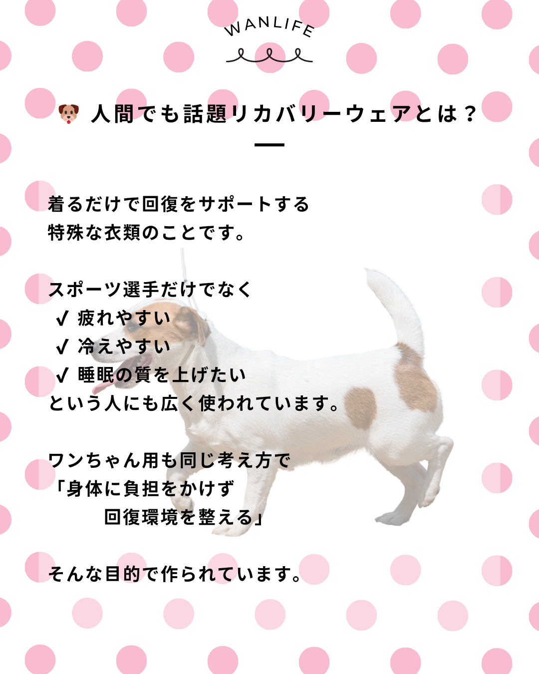 わんわん整体WanLife｜愛知・岐阜の犬の整体・メディセル筋膜リリース・オベロンアニマルスキャン・歩けるくん・ネオヒーラー・温灸・食事療法｜