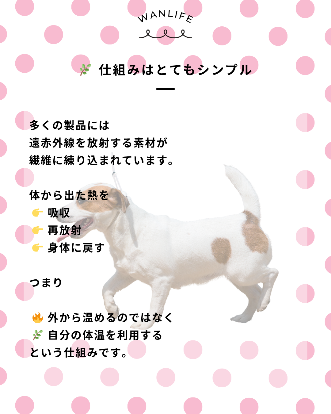 わんわん整体WanLife｜愛知・岐阜の犬の整体・メディセル筋膜リリース・オベロンアニマルスキャン・歩けるくん・ネオヒーラー・温灸・食事療法｜