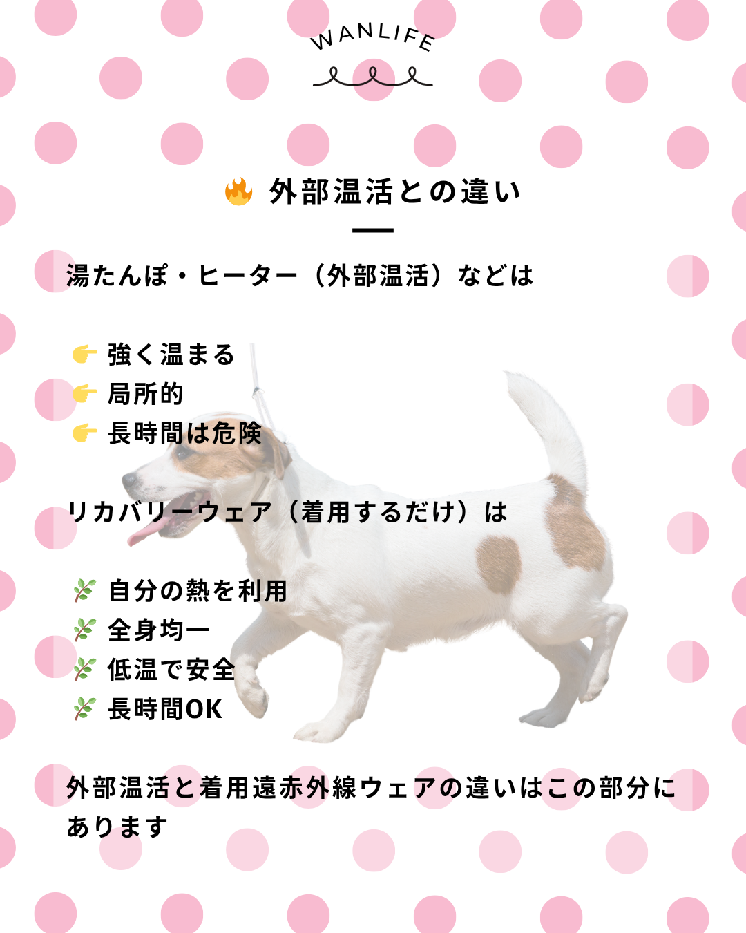 わんわん整体WanLife｜愛知・岐阜の犬の整体・メディセル筋膜リリース・オベロンアニマルスキャン・歩けるくん・ネオヒーラー・温灸・食事療法｜