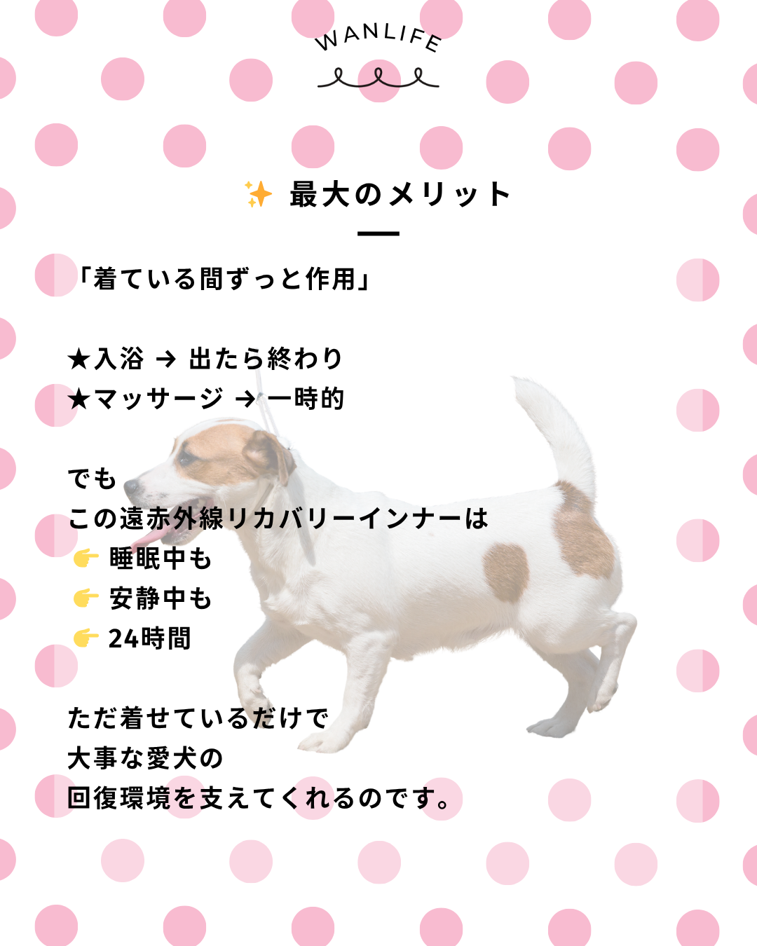 わんわん整体WanLife｜愛知・岐阜の犬の整体・メディセル筋膜リリース・オベロンアニマルスキャン・歩けるくん・ネオヒーラー・温灸・食事療法｜