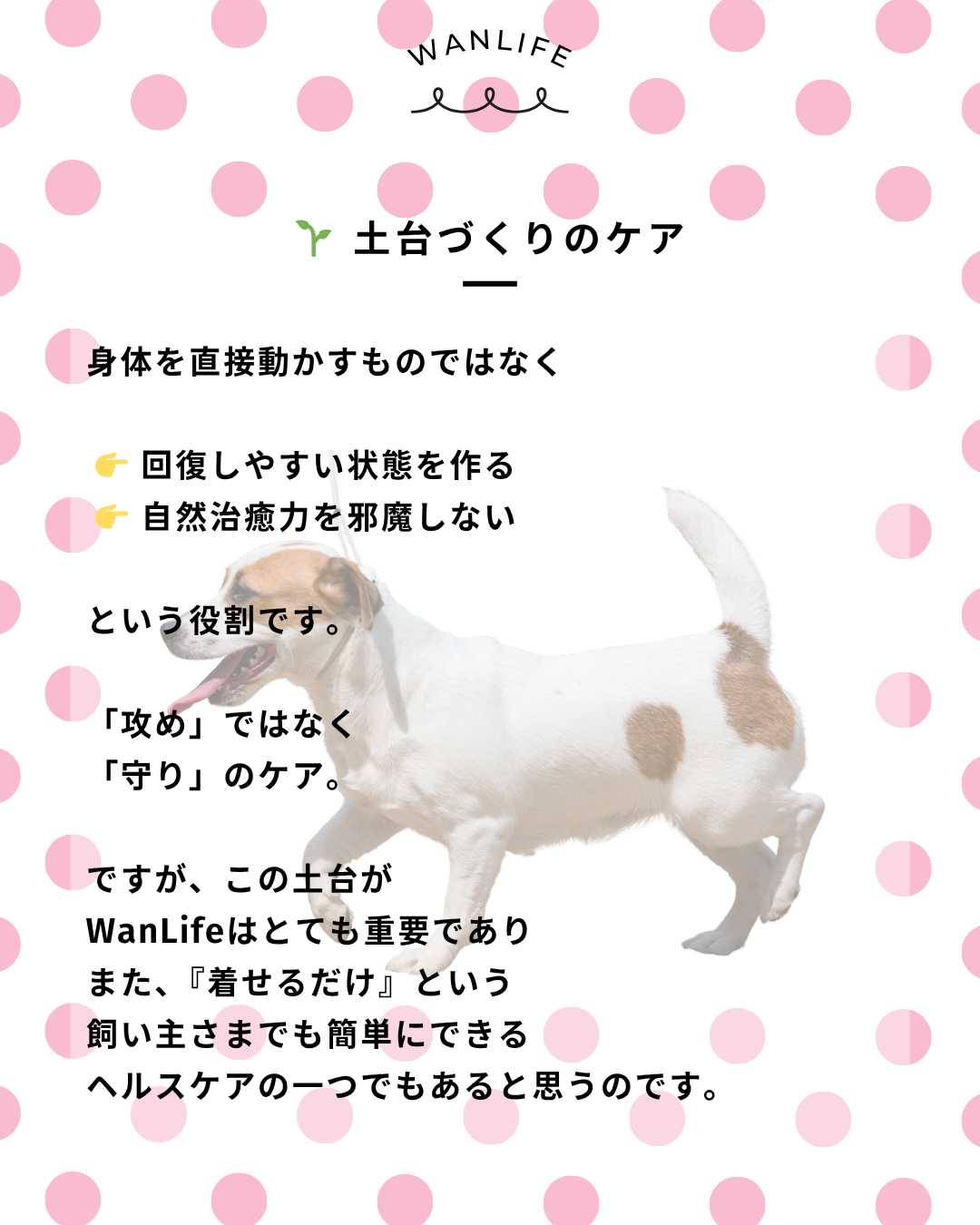 わんわん整体WanLife｜愛知・岐阜の犬の整体・メディセル筋膜リリース・オベロンアニマルスキャン・歩けるくん・ネオヒーラー・温灸・食事療法｜