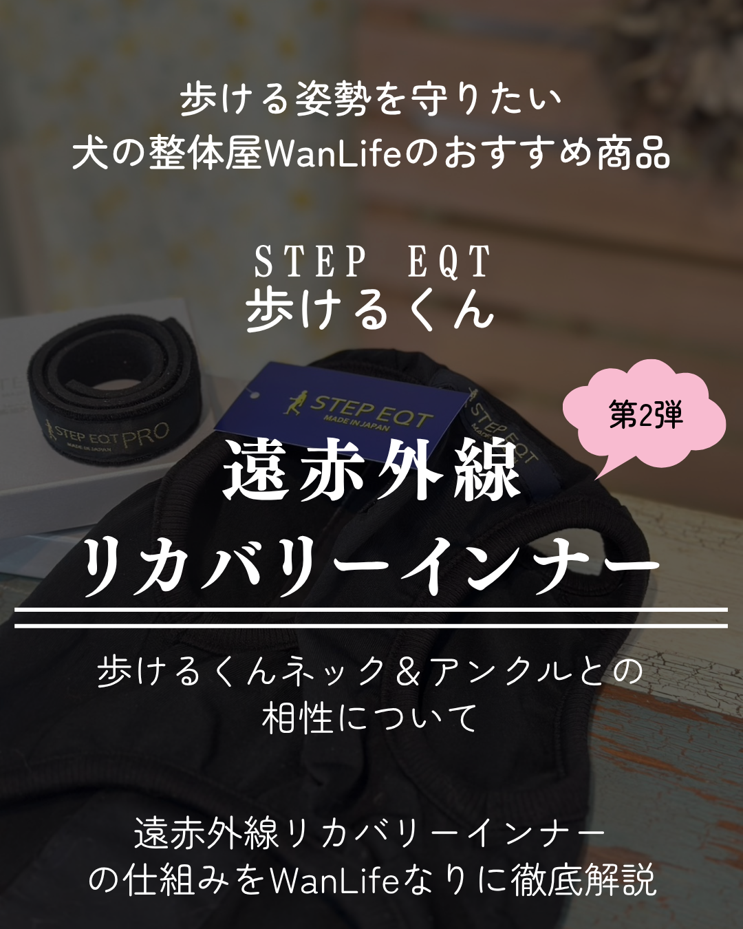 わんわん整体WanLife｜愛知・岐阜の犬の整体・メディセル筋膜リリース・オベロンアニマルスキャン・歩けるくん・ネオヒーラー・温灸・食事療法｜