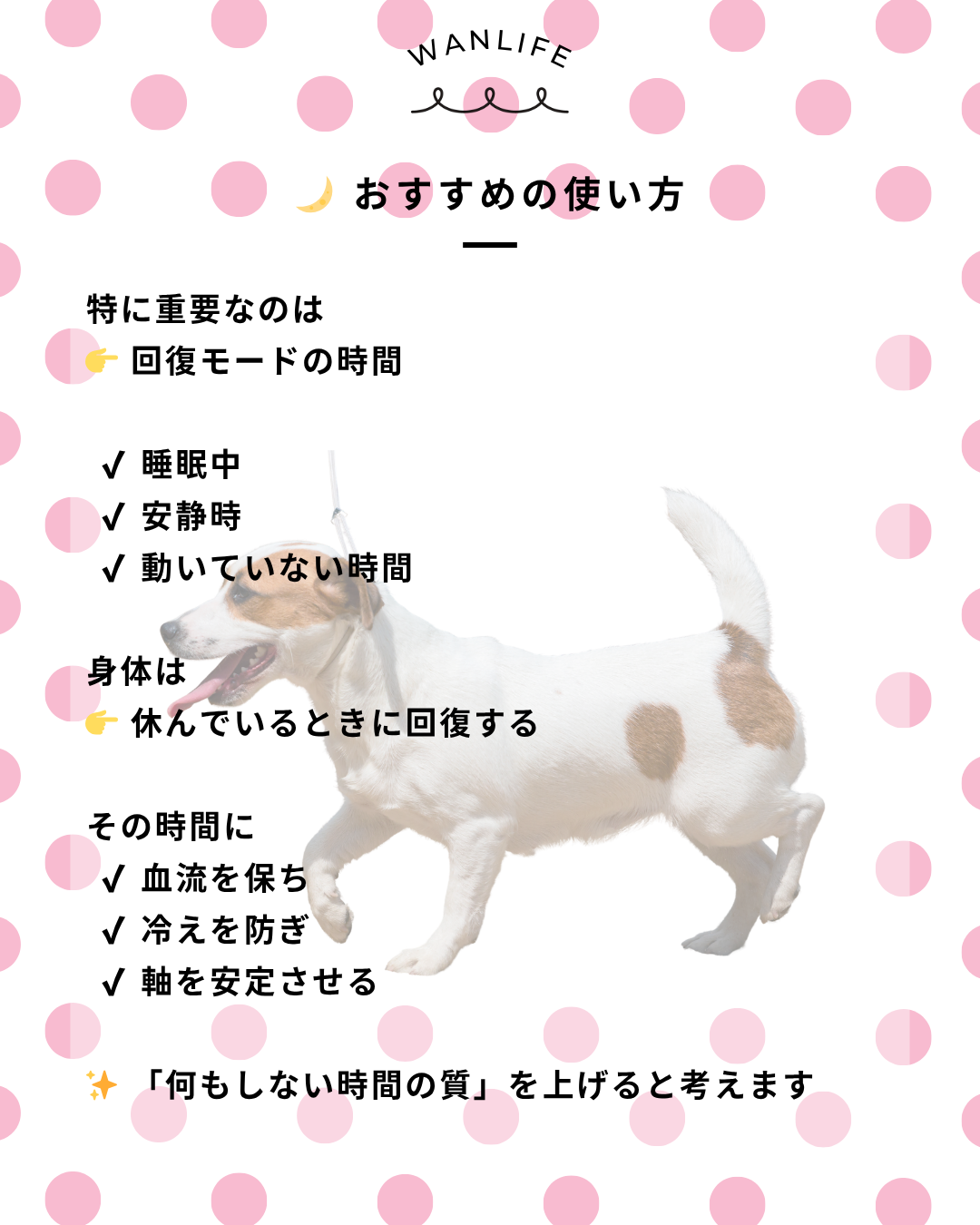 わんわん整体WanLife｜愛知・岐阜の犬の整体・メディセル筋膜リリース・オベロンアニマルスキャン・歩けるくん・ネオヒーラー・温灸・食事療法｜