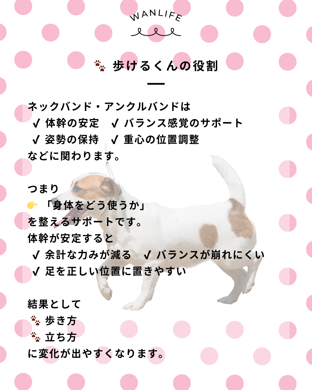 わんわん整体WanLife｜愛知・岐阜の犬の整体・メディセル筋膜リリース・オベロンアニマルスキャン・歩けるくん・ネオヒーラー・温灸・食事療法｜