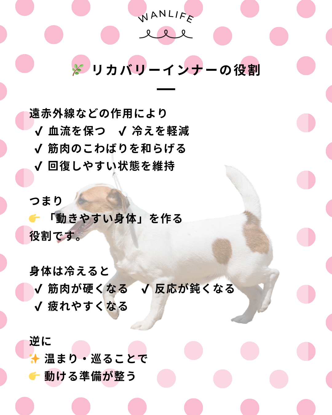 わんわん整体WanLife｜愛知・岐阜の犬の整体・メディセル筋膜リリース・オベロンアニマルスキャン・歩けるくん・ネオヒーラー・温灸・食事療法｜