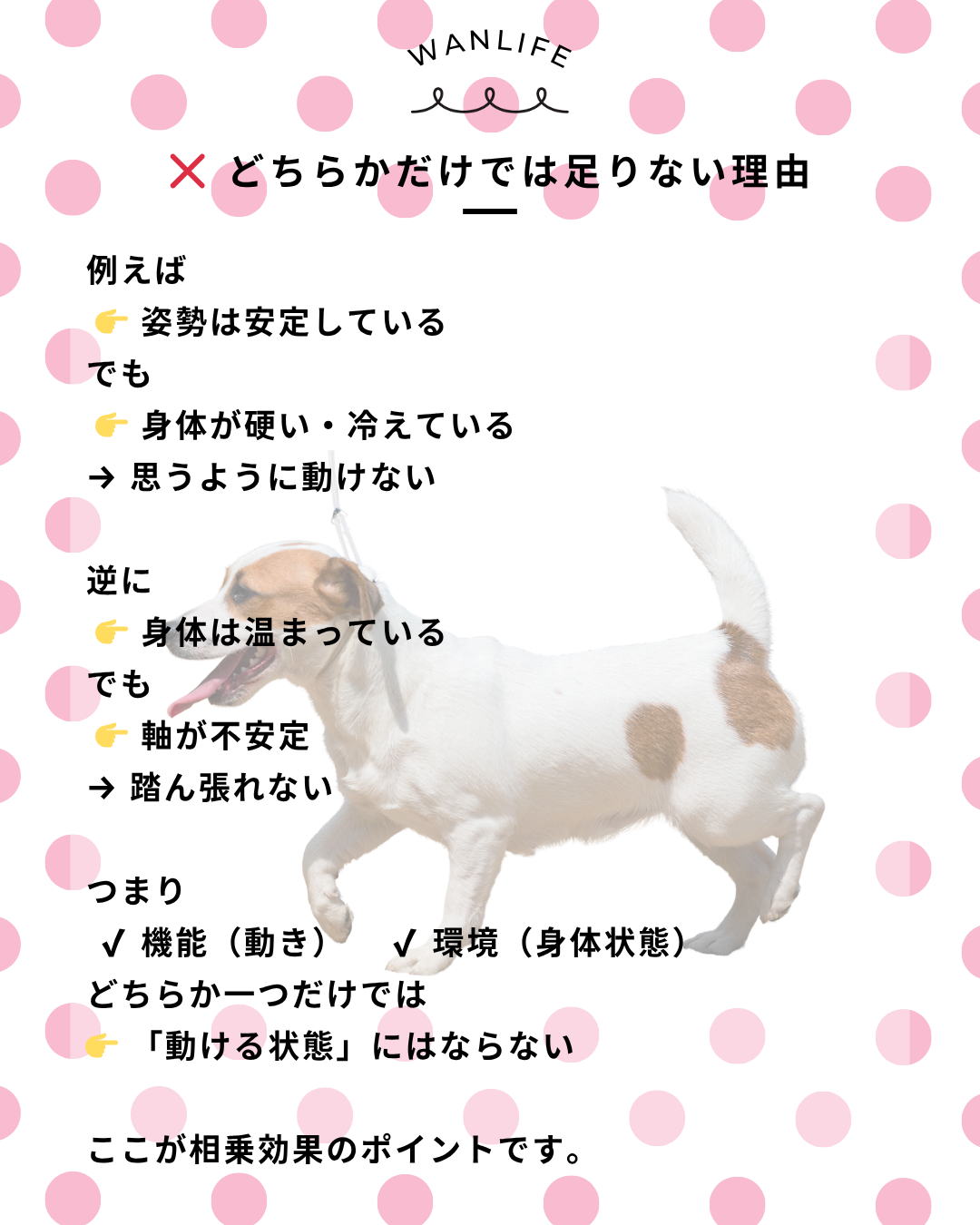 わんわん整体WanLife｜愛知・岐阜の犬の整体・メディセル筋膜リリース・オベロンアニマルスキャン・歩けるくん・ネオヒーラー・温灸・食事療法｜