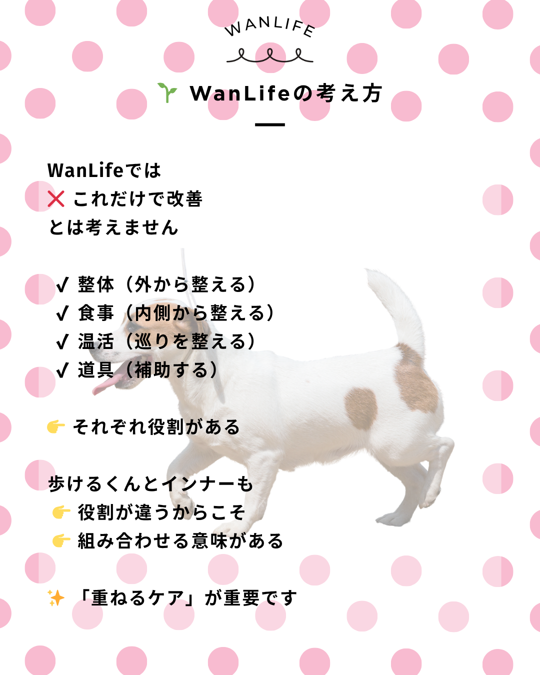 わんわん整体WanLife｜愛知・岐阜の犬の整体・メディセル筋膜リリース・オベロンアニマルスキャン・歩けるくん・ネオヒーラー・温灸・食事療法｜