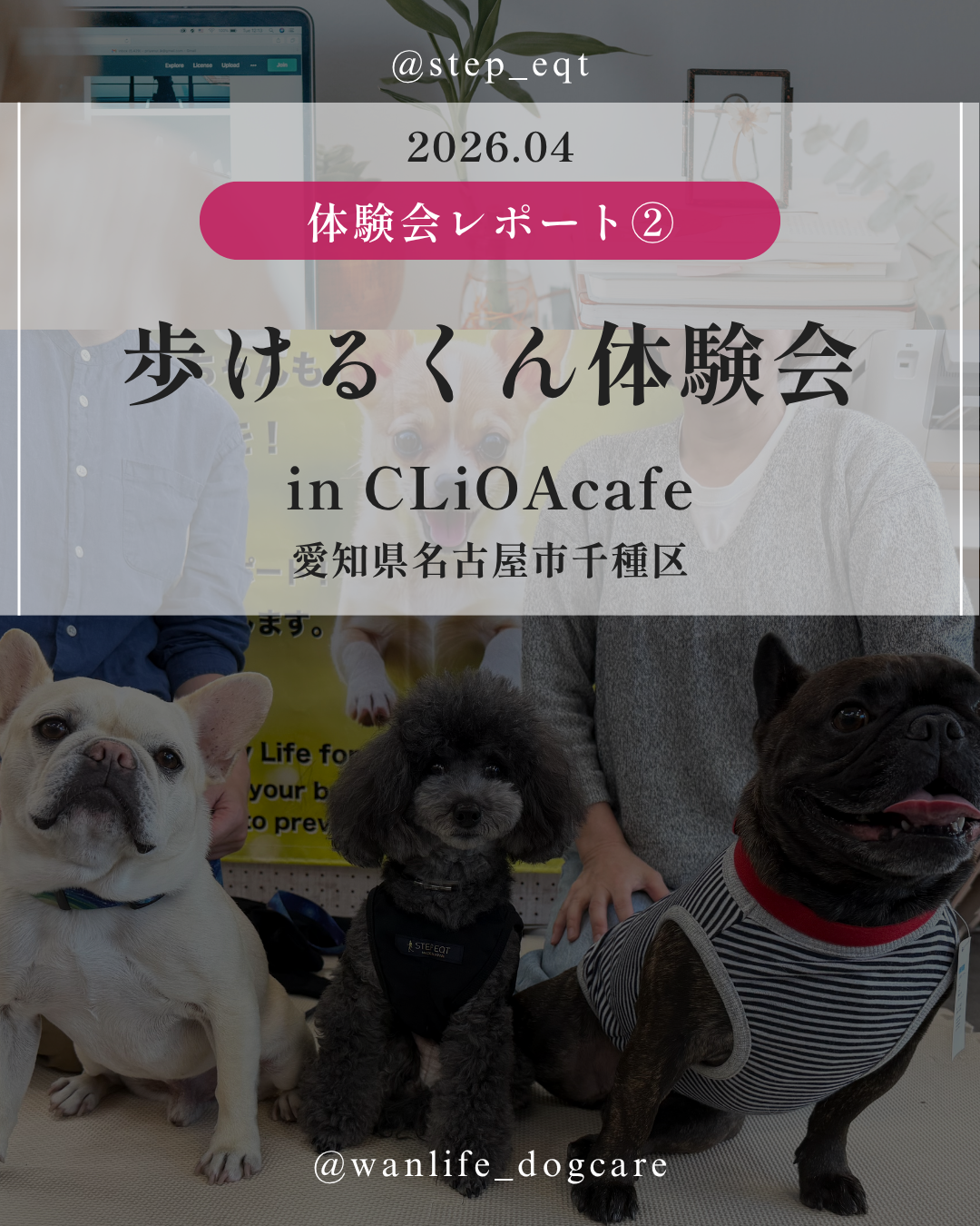 わんわん整体WanLife｜愛知・岐阜の犬の整体・メディセル筋膜リリース・オベロンアニマルスキャン・歩けるくん・ネオヒーラー・温灸・食事療法｜