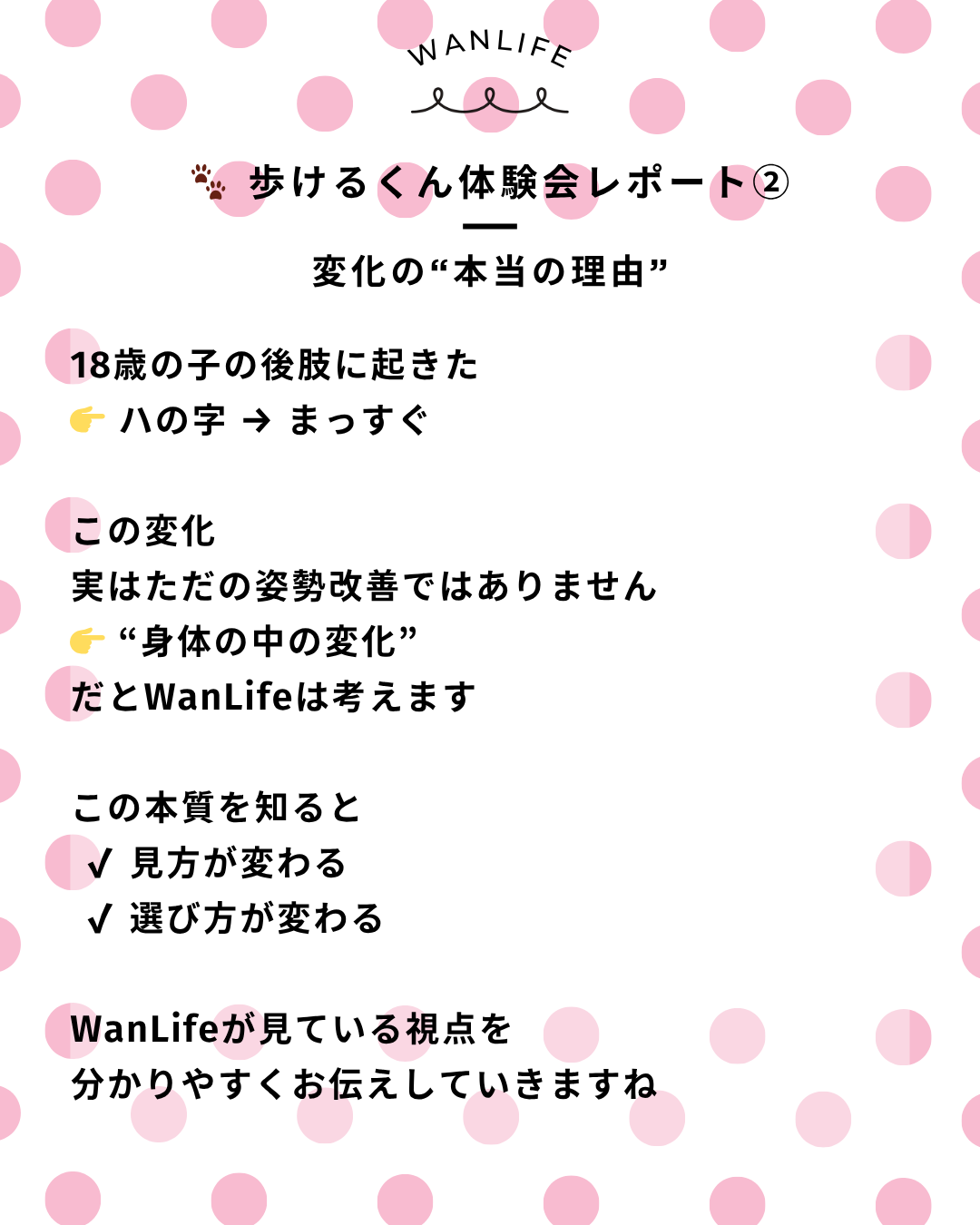 わんわん整体WanLife|愛知・岐阜の犬の整体・メディセル筋膜リリース・オベロンアニマルスキャン・歩けるくん・ネオヒーラー・温灸・食事療法|