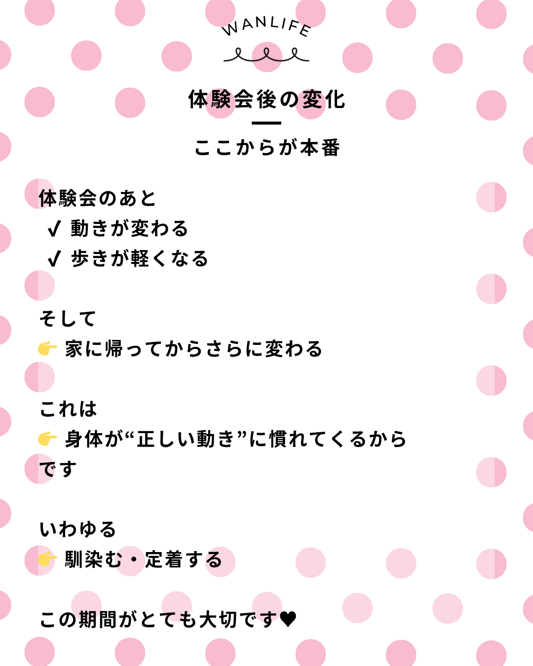 わんわん整体WanLife|愛知・岐阜の犬の整体・メディセル筋膜リリース・オベロンアニマルスキャン・歩けるくん・ネオヒーラー・温灸・食事療法|