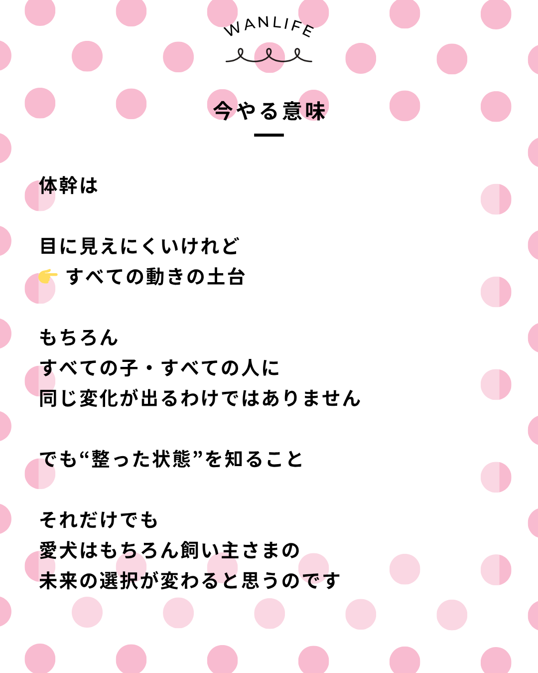 わんわん整体WanLife｜愛知・岐阜の犬の整体・メディセル筋膜リリース・オベロンアニマルスキャン・歩けるくん・ネオヒーラー・温灸・食事療法｜