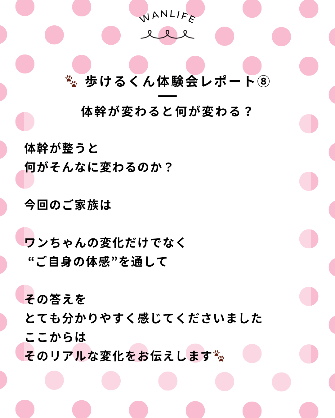 わんわん整体WanLife｜愛知・岐阜の犬の整体・メディセル筋膜リリース・オベロンアニマルスキャン・歩けるくん・ネオヒーラー・温灸・食事療法｜