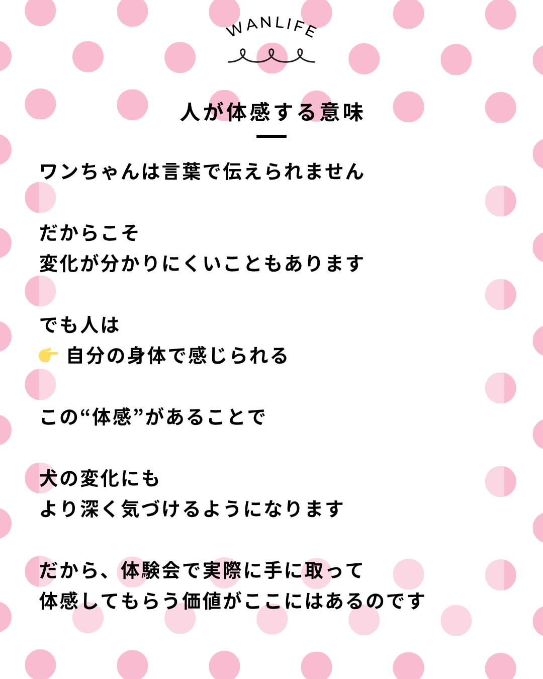わんわん整体WanLife｜愛知・岐阜の犬の整体・メディセル筋膜リリース・オベロンアニマルスキャン・歩けるくん・ネオヒーラー・温灸・食事療法｜