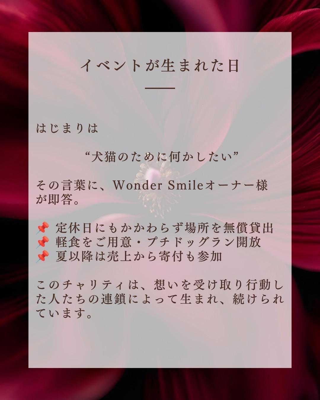 わんわん整体WanLife｜愛知・岐阜の犬の整体・メディセル筋膜リリース・オベロンアニマルスキャン・ネオヒーラー・温灸・食事療法｜