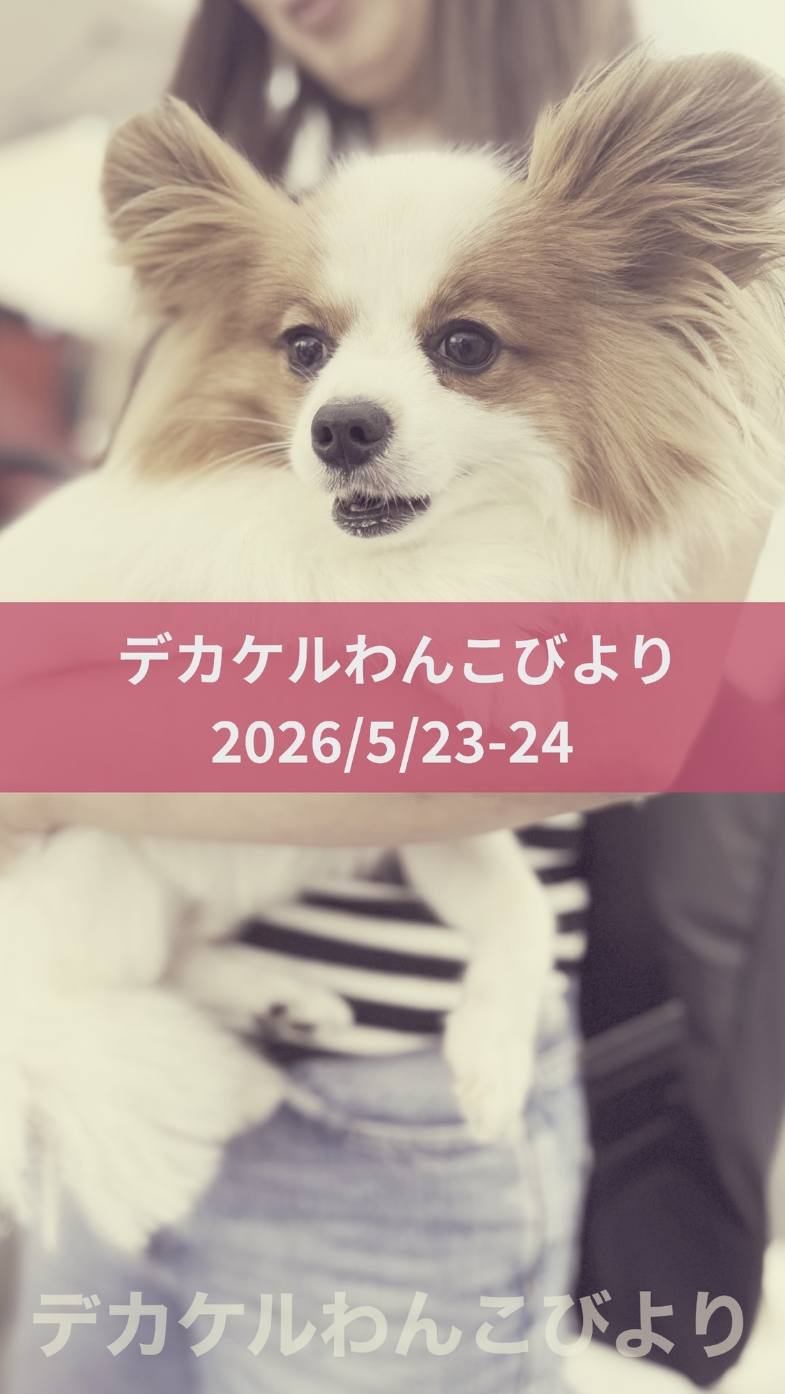 わんわん整体WanLife｜愛知・岐阜の犬の整体・メディセル筋膜リリース・オベロンアニマルスキャン・ネオヒーラー・温灸・食事療法｜