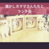 わんわん整体WanLife｜愛知・岐阜の犬の整体・メディセル筋膜リリース・オベロンアニマルスキャン・ネオヒーラー・温灸・食事療法｜