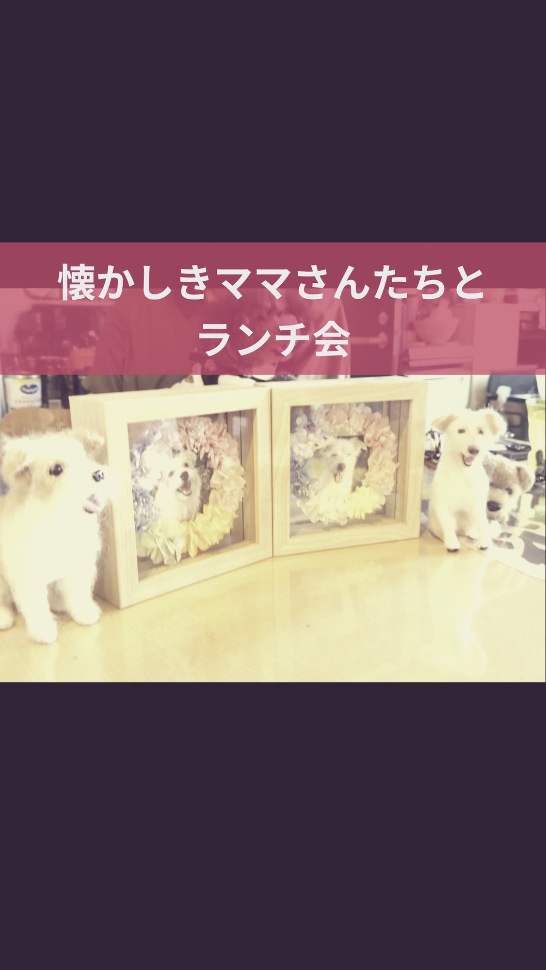 わんわん整体WanLife｜愛知・岐阜の犬の整体・メディセル筋膜リリース・オベロンアニマルスキャン・ネオヒーラー・温灸・食事療法｜
