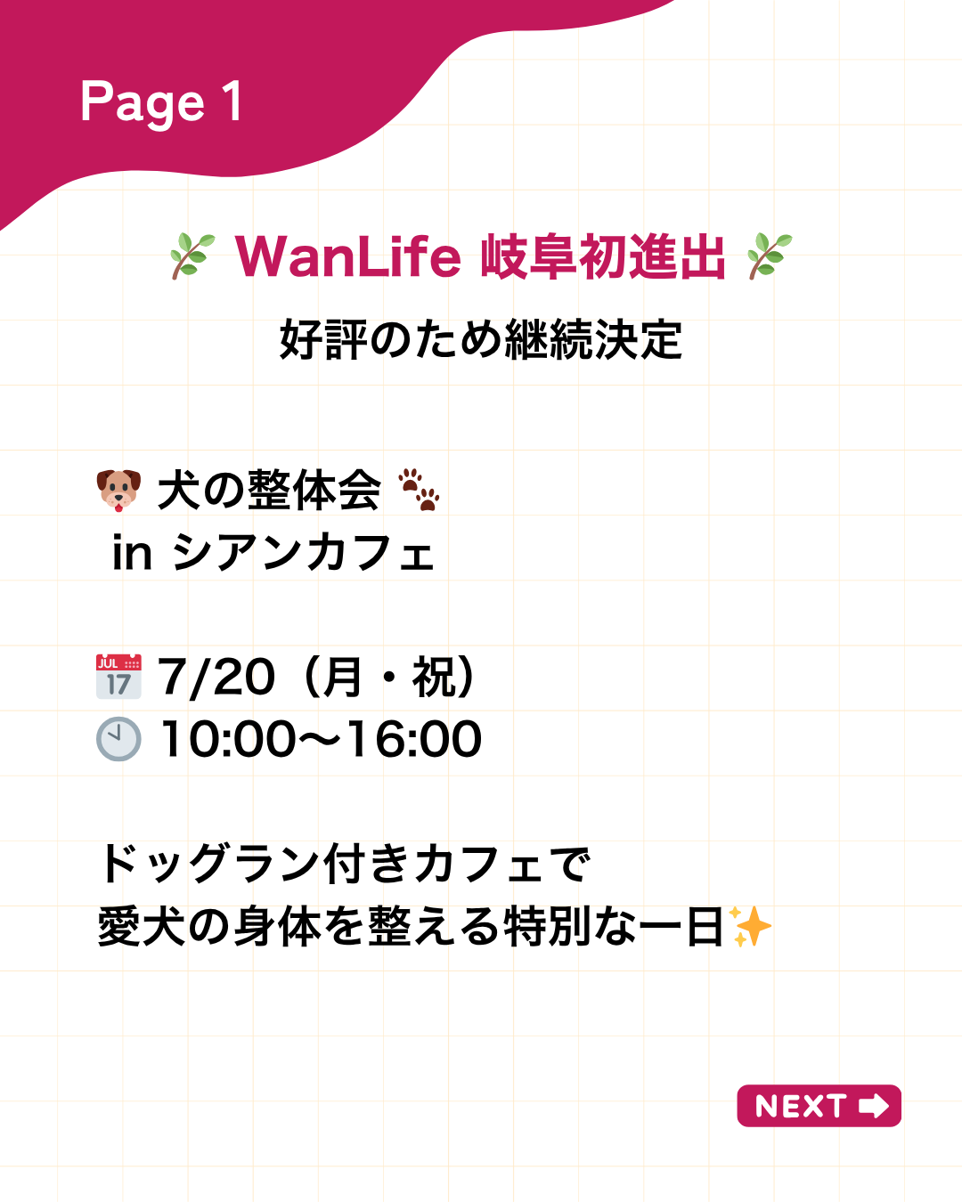 わんわん整体WanLife｜愛知・岐阜の犬の整体・メディセル筋膜リリース・オベロンアニマルスキャン・ネオヒーラー・温灸・食事療法｜