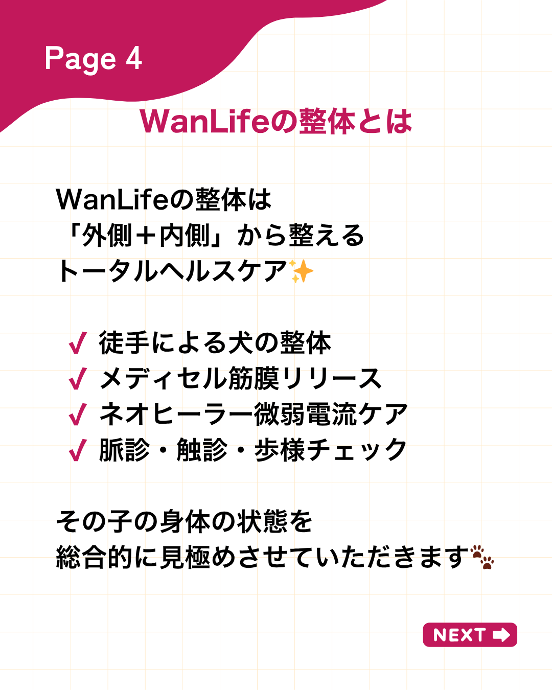 わんわん整体WanLife｜愛知・岐阜の犬の整体・メディセル筋膜リリース・オベロンアニマルスキャン・ネオヒーラー・温灸・食事療法｜