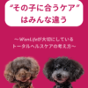 #犬の整体 #トータルヘルスケア #わんごはん #シニア犬ケア #WanLife