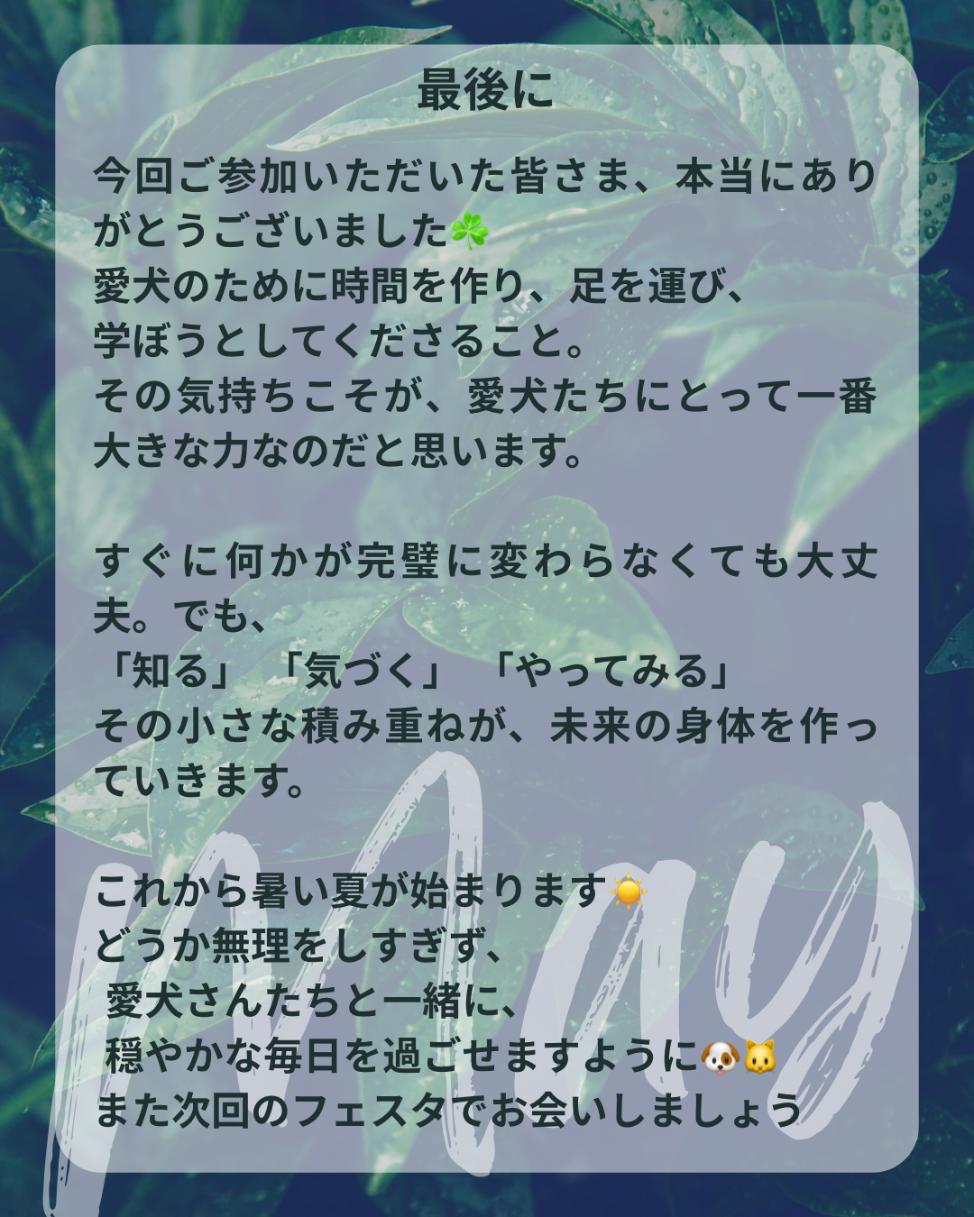 わんわん整体WanLife｜愛知・岐阜の犬の整体・メディセル筋膜リリース・オベロンアニマルスキャン・ネオヒーラー・温灸・食事療法｜
