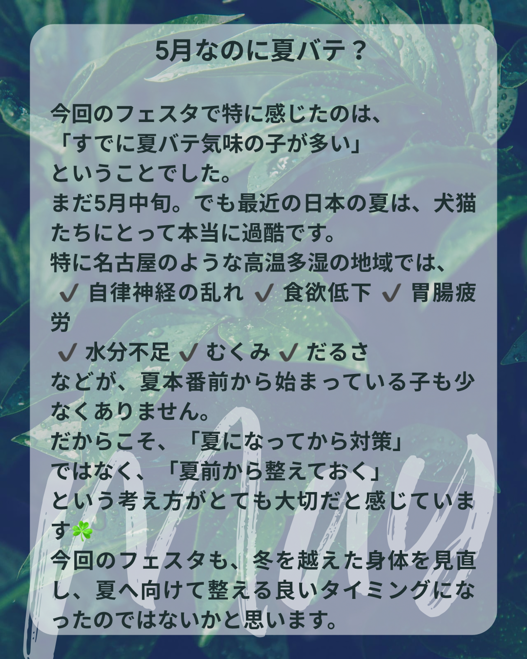 わんわん整体WanLife｜愛知・岐阜の犬の整体・メディセル筋膜リリース・オベロンアニマルスキャン・ネオヒーラー・温灸・食事療法｜