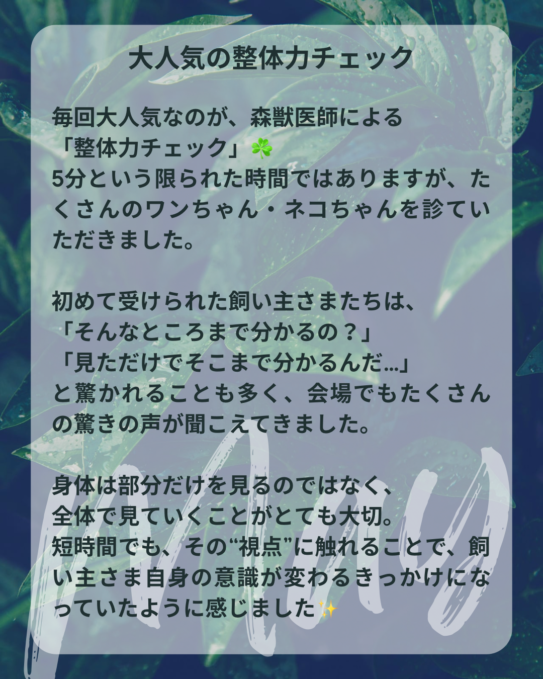わんわん整体WanLife｜愛知・岐阜の犬の整体・メディセル筋膜リリース・オベロンアニマルスキャン・ネオヒーラー・温灸・食事療法｜