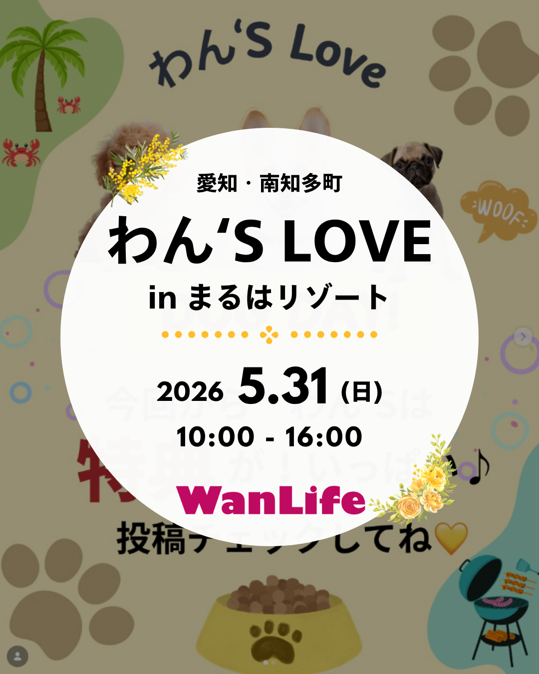 わんわん整体WanLife｜愛知・岐阜の犬の整体・メディセル筋膜リリース・オベロンアニマルスキャン・ネオヒーラー・温灸・食事療法｜