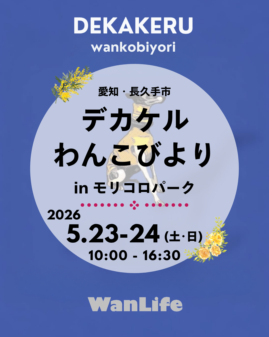 わんわん整体WanLife｜愛知・岐阜の犬の整体・メディセル筋膜リリース・オベロンアニマルスキャン・ネオヒーラー・温灸・食事療法｜