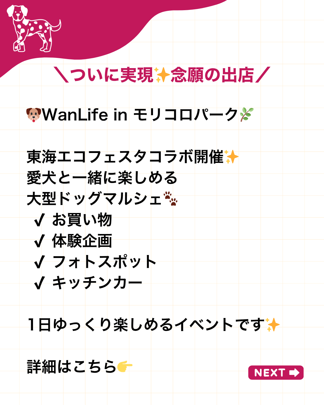 わんわん整体WanLife｜愛知・岐阜の犬の整体・メディセル筋膜リリース・オベロンアニマルスキャン・ネオヒーラー・温灸・食事療法｜