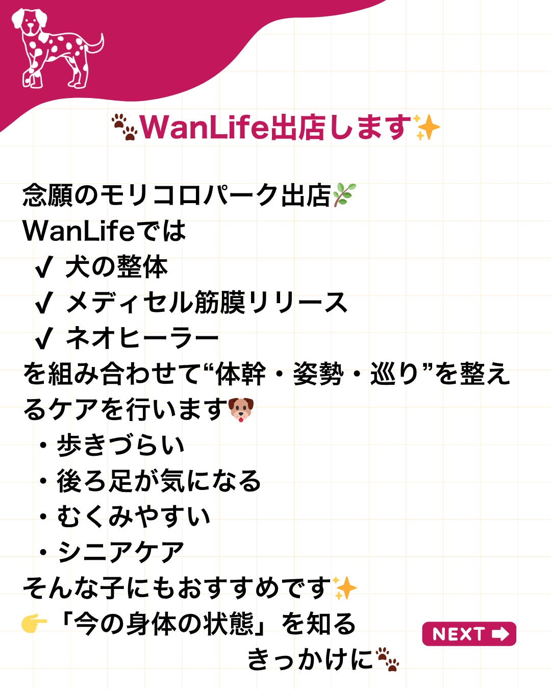 わんわん整体WanLife｜愛知・岐阜の犬の整体・メディセル筋膜リリース・オベロンアニマルスキャン・ネオヒーラー・温灸・食事療法｜