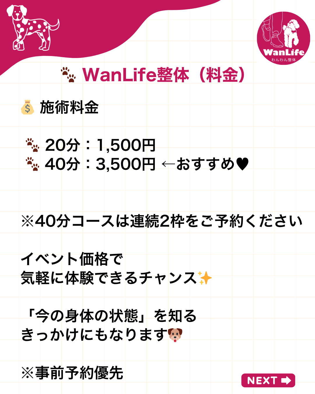 わんわん整体WanLife｜愛知・岐阜の犬の整体・メディセル筋膜リリース・オベロンアニマルスキャン・ネオヒーラー・温灸・食事療法｜