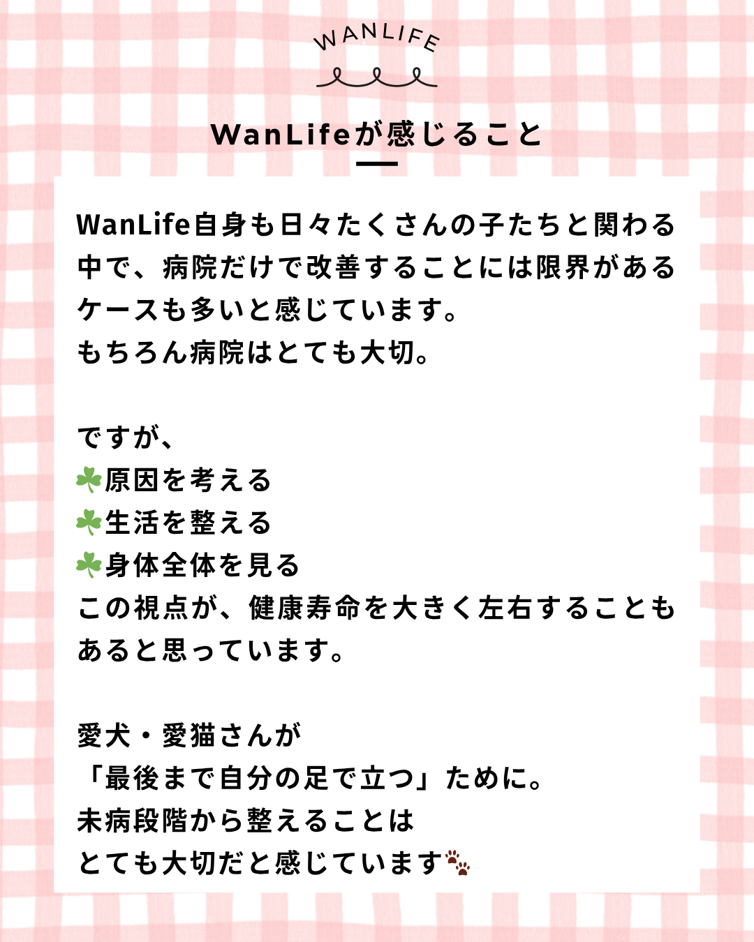 わんわん整体WanLife｜愛知・岐阜の犬の整体・メディセル筋膜リリース・オベロンアニマルスキャン・ネオヒーラー・温灸・食事療法｜