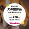 わんわん整体WanLife｜愛知・岐阜の犬の整体・メディセル筋膜リリース・オベロンアニマルスキャン・ネオヒーラー・温灸・食事療法｜