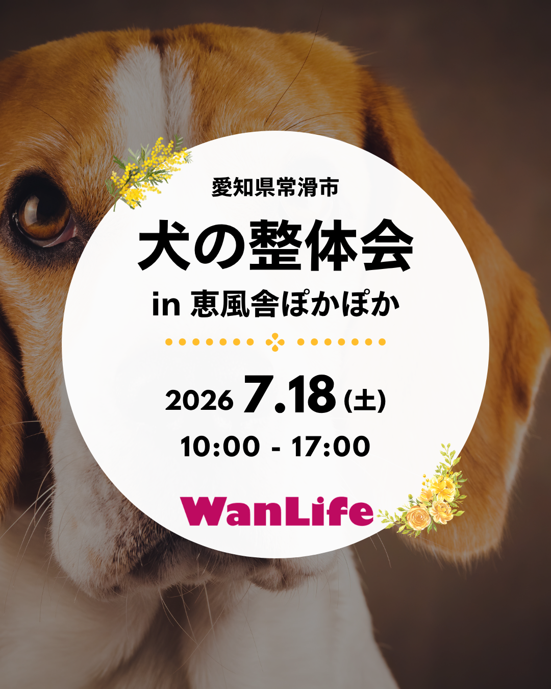 わんわん整体WanLife｜愛知・岐阜の犬の整体・メディセル筋膜リリース・オベロンアニマルスキャン・ネオヒーラー・温灸・食事療法｜