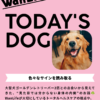わんわん整体WanLife｜愛知・岐阜の犬の整体・メディセル筋膜リリース・オベロンアニマルスキャン・ネオヒーラー・温灸・食事療法｜