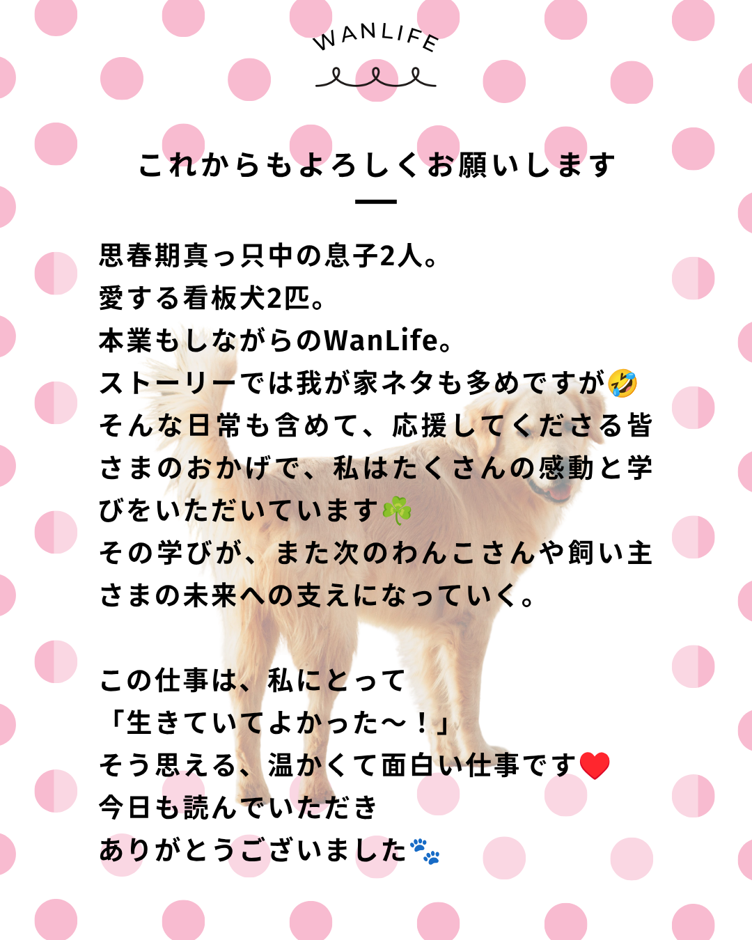わんわん整体WanLife｜愛知・岐阜の犬の整体・メディセル筋膜リリース・オベロンアニマルスキャン・ネオヒーラー・温灸・食事療法｜