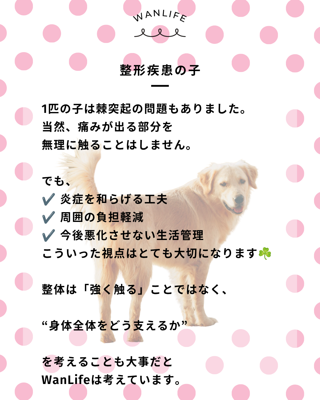 わんわん整体WanLife｜愛知・岐阜の犬の整体・メディセル筋膜リリース・オベロンアニマルスキャン・ネオヒーラー・温灸・食事療法｜