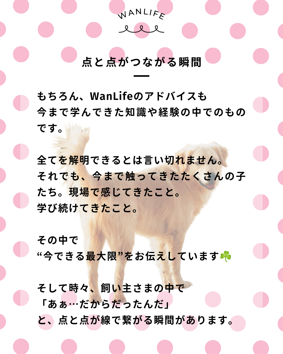 わんわん整体WanLife｜愛知・岐阜の犬の整体・メディセル筋膜リリース・オベロンアニマルスキャン・ネオヒーラー・温灸・食事療法｜