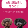 名古屋市・尾張旭市・長久手市・春日井市から来店多数の犬の整体WanLife