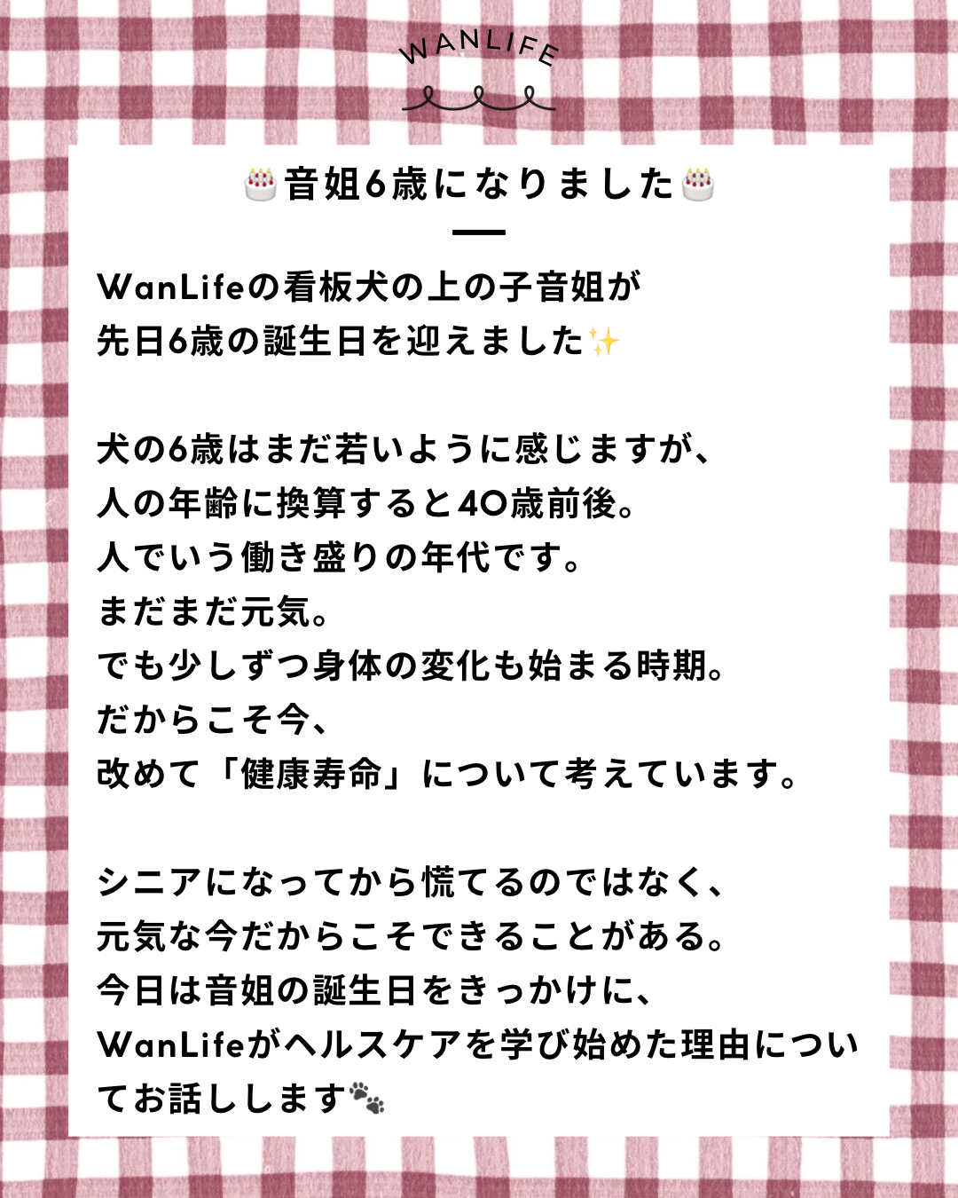 名古屋市・尾張旭市・長久手市・春日井市から来店多数の犬の整体WanLife