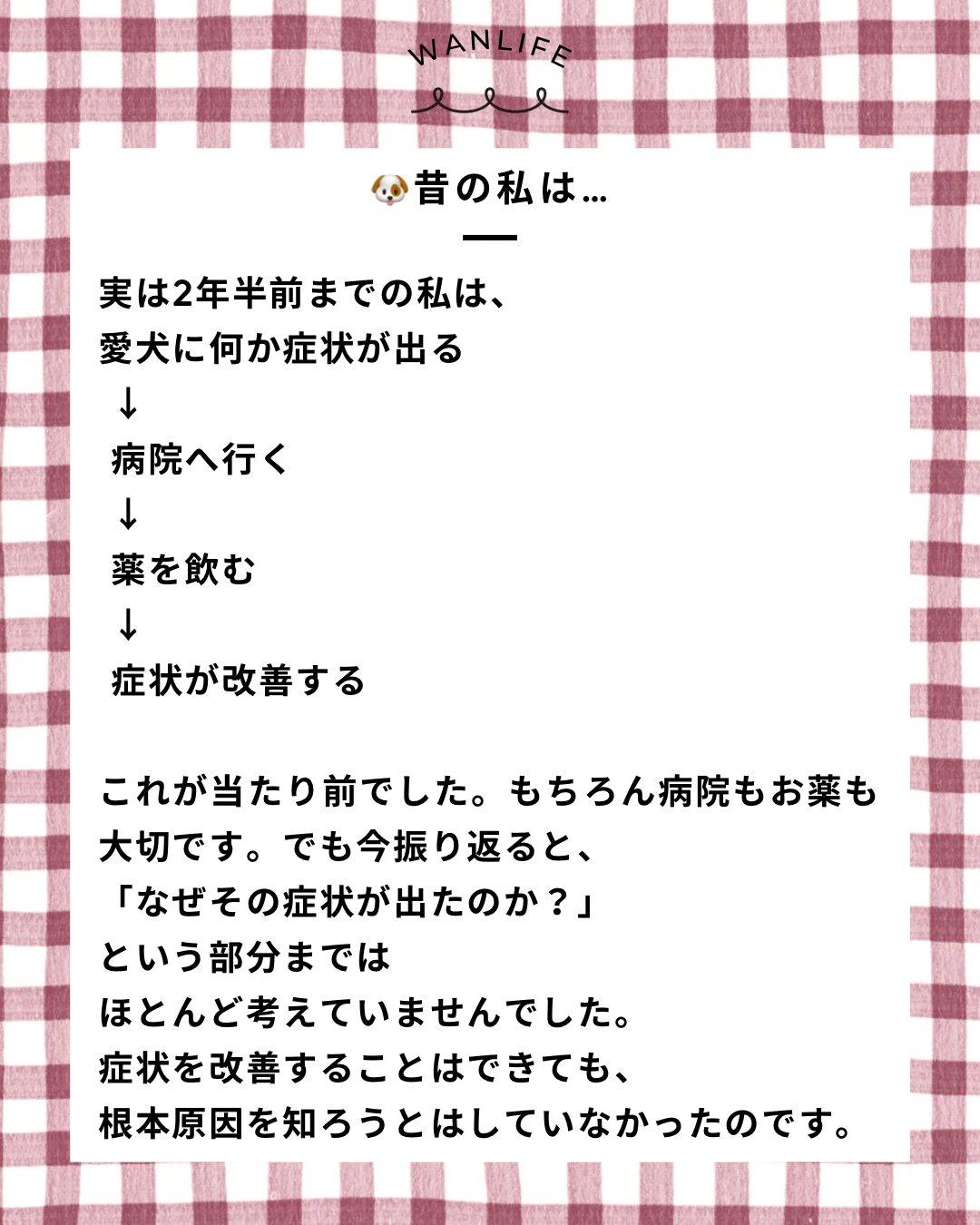 名古屋市・尾張旭市・長久手市・春日井市から来店多数の犬の整体WanLife