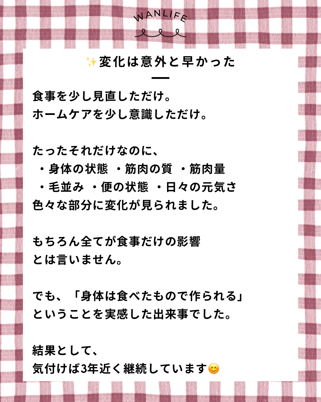 名古屋市・尾張旭市・長久手市・春日井市から来店多数の犬の整体WanLife