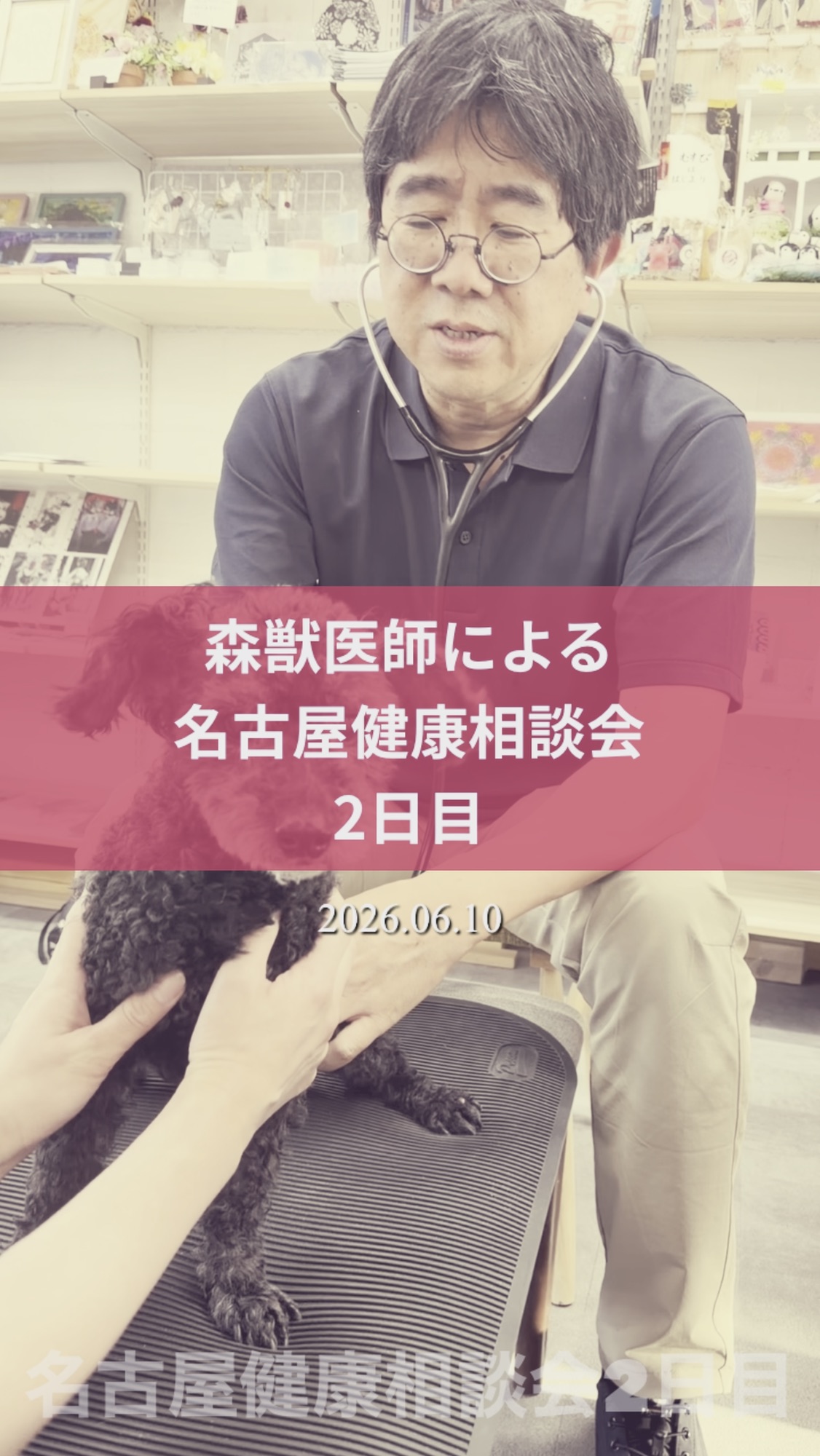 名古屋市・尾張旭市・長久手市・春日井市から来店多数の犬の整体WanLife