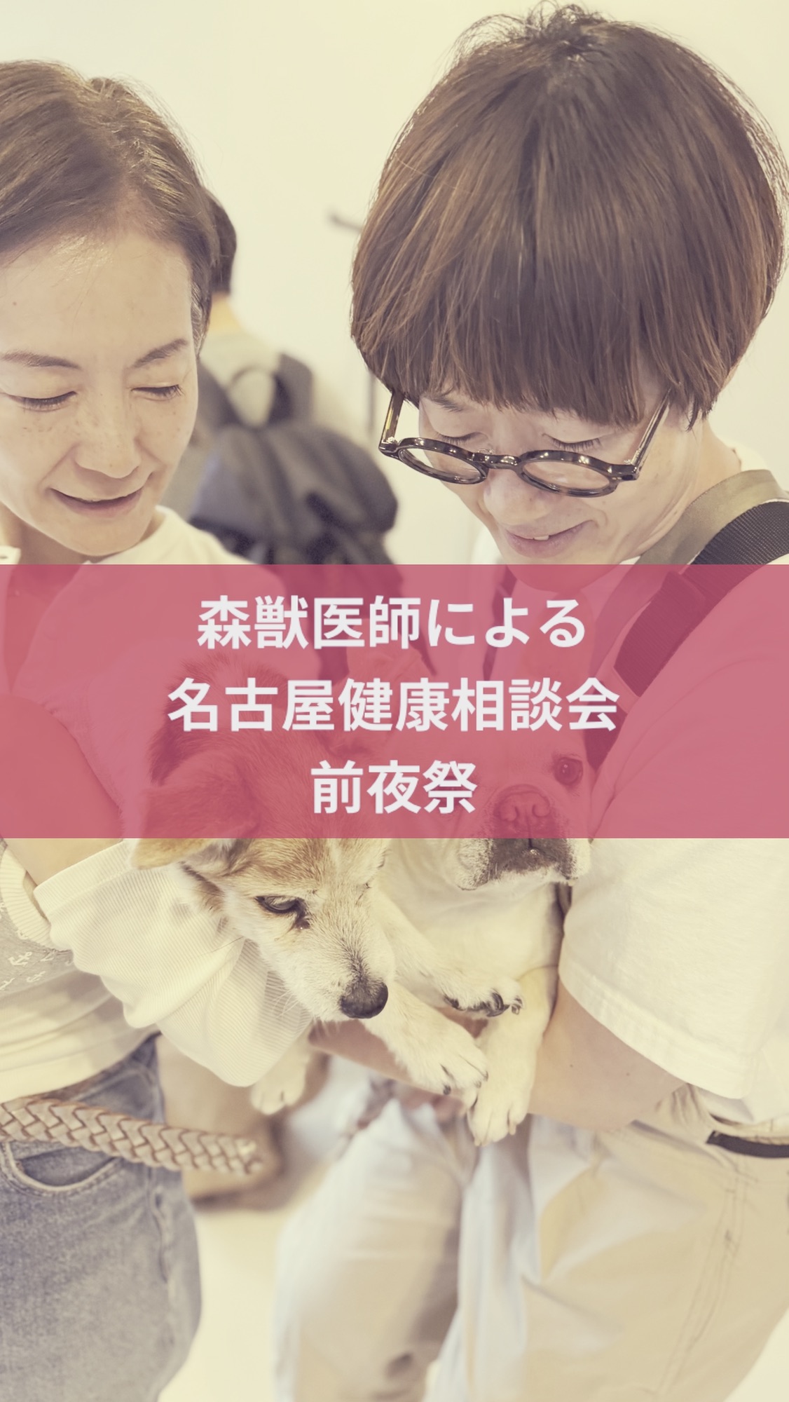 名古屋市・尾張旭市・長久手市・春日井市から来店多数の犬の整体WanLife