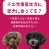 名古屋市・尾張旭市・長久手市・春日井市から来店多数の犬の整体WanLife
